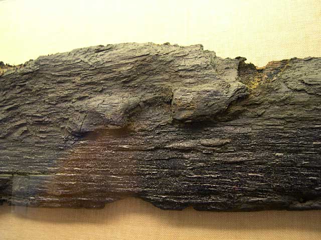 Copyright 2004 Jrn Lset